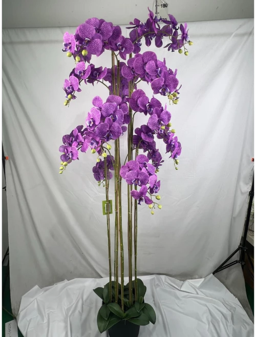 Supergreens Τεχνητό Φυτό Ορχιδέα Phalaenopsis Μωβ 180 εκ.