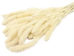 Setaria φυσικό Η70cm