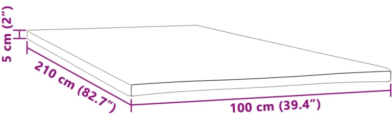 vidaXL Ανώστρωμα 100x210x5 εκ.