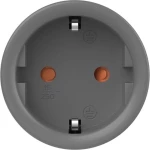 Smart plug WiFi Sonoff S60TPF