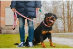 Max And Molly Μπρελόκ Magical
