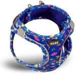 Glee Σαμαράκι Dino Blue XL
