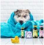 Max and Molly Dog Shampoo Sensitive – Fluff N Buff 250ml