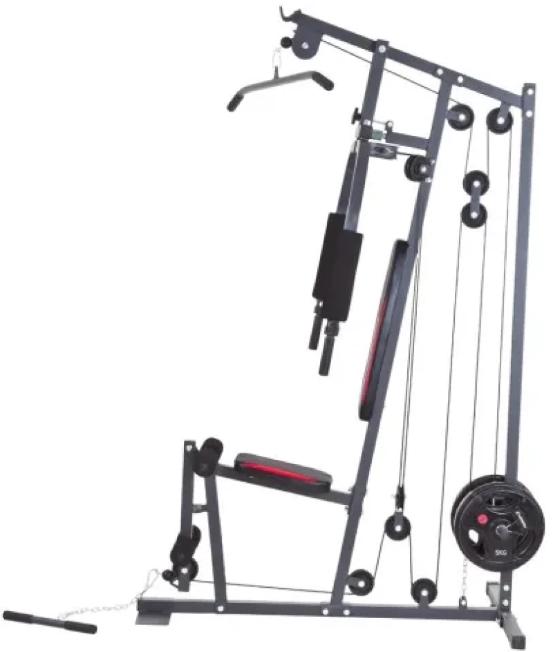 Πολυόργανο inSPORTline ProfiGym N10