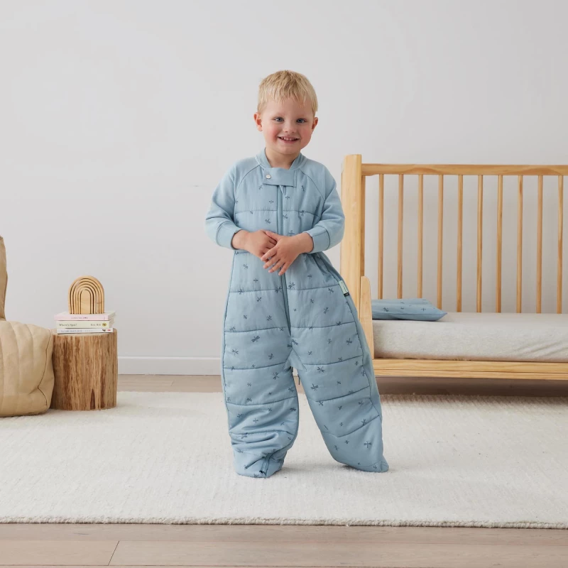 ErgoPouch Βρεφικός Υπνόσακος Dragonflies Sleep Suit ΜΜ 2.5 Tog 8-24m BR77854