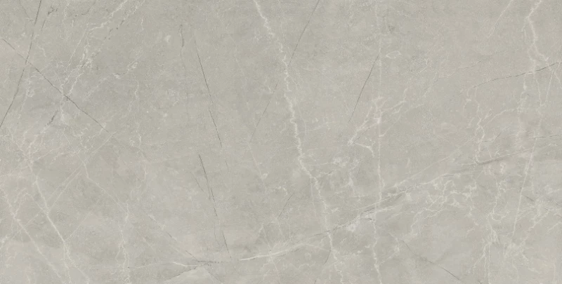 Πλακάκι Bayona Silver (Aνοιχτό Γκρι) Natural 60Χ120 Ματ Μαρμαριζέ