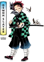 Art of Demon Slayer Manga : Kimetsu no Yaiba
