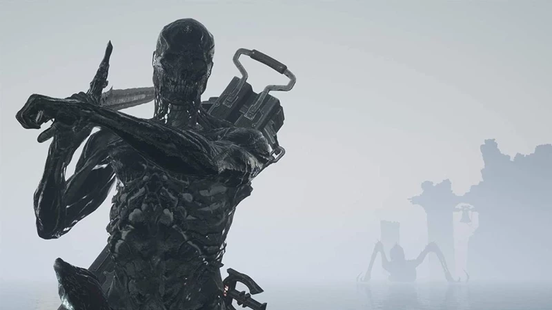 Mortal Shell / PlayStation 4