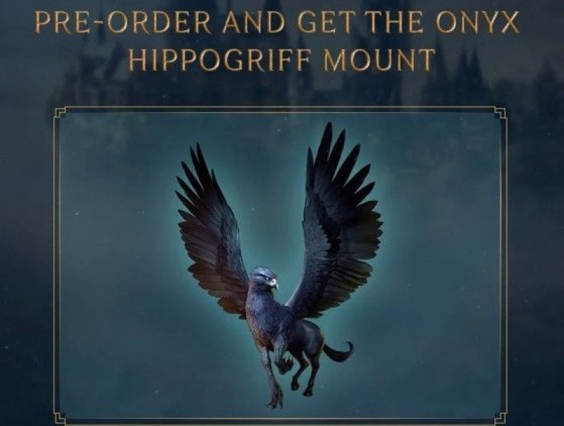 Hogwarts Legacy / Xbox Series X