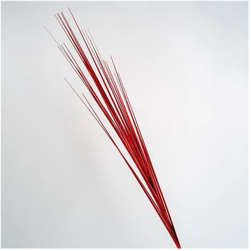 ΚΛΑΔΙ, ΚΟΚΚΙΝΟ ΜΕΤΑΛΙΖΕ, 80cm