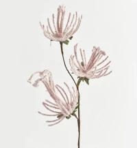 ΚΛΑΔΙ, ΜΕ ΡΟΖ ΛΟΥΛΟΥΔΙΑ, 51cm