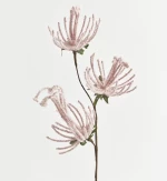 ΚΛΑΔΙ, ΜΕ ΡΟΖ ΛΟΥΛΟΥΔΙΑ, 51cm