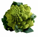 Κουνουπίδι Romanesco FLORENTINA F1 2500 σπόροι