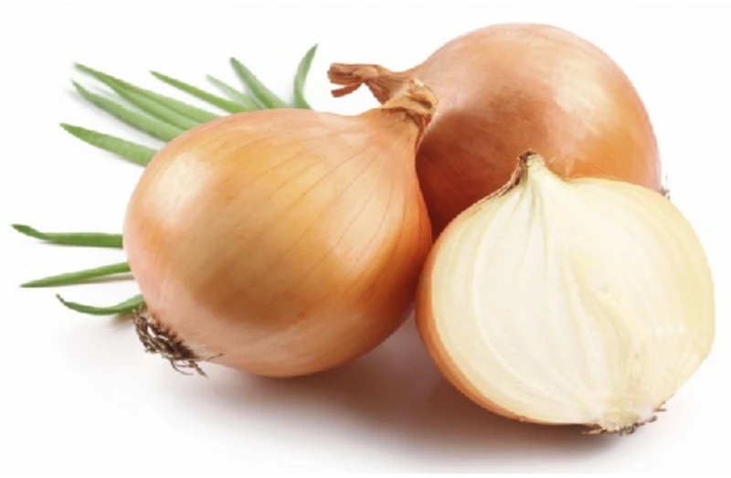 Κρεμμύδι Valenciana Tardia de Exportacion 250.000 σπόροι