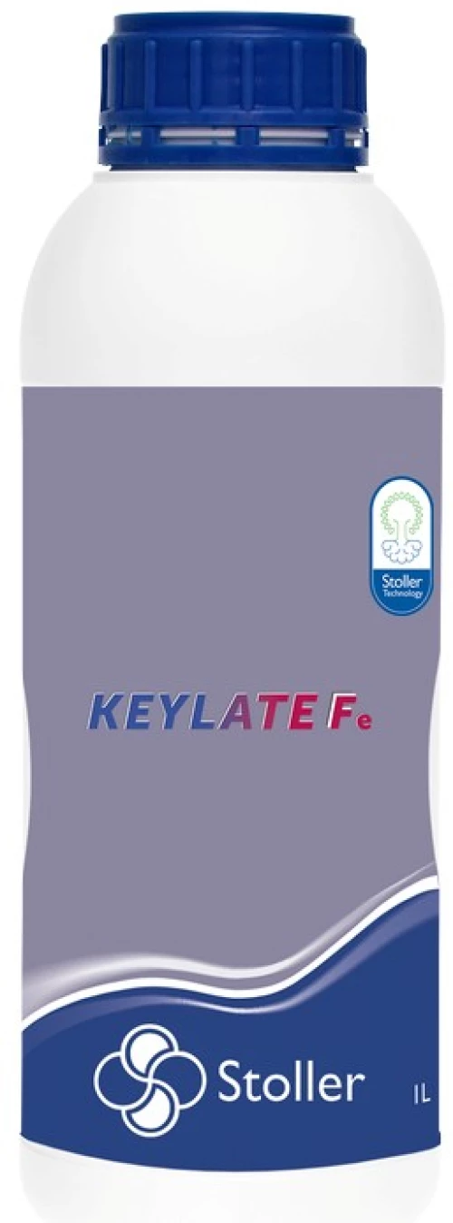 Keylate Fe λίπασμα 1 lt