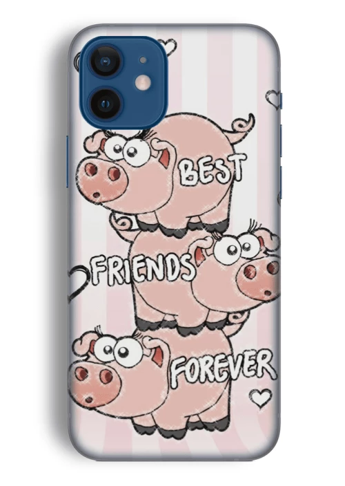 Friends Silicone case Θήκη για Iphone 11 pink