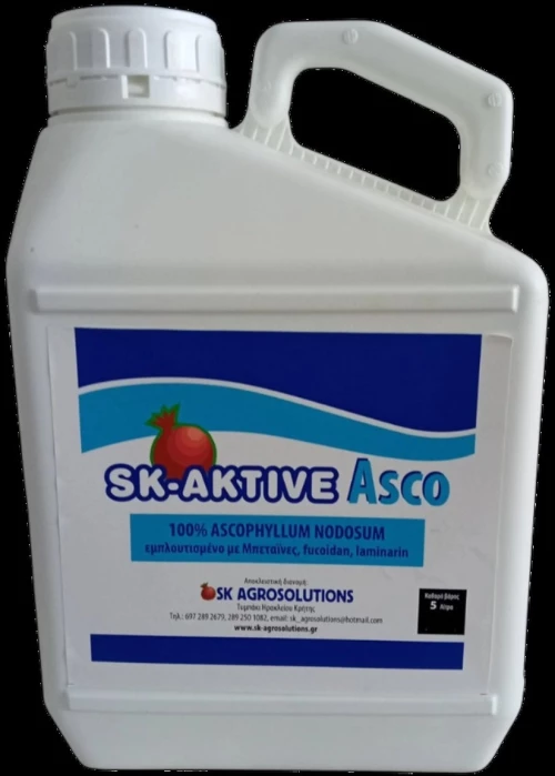 SK AKTIVE ASCO 20lt