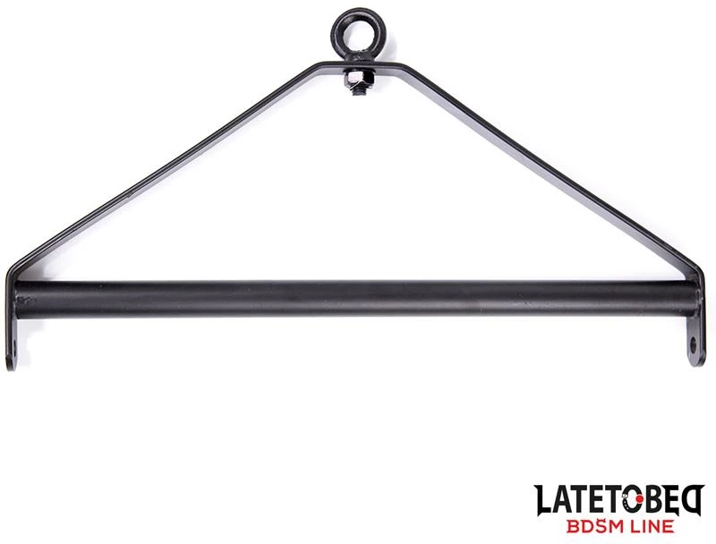 Ceiling Swing