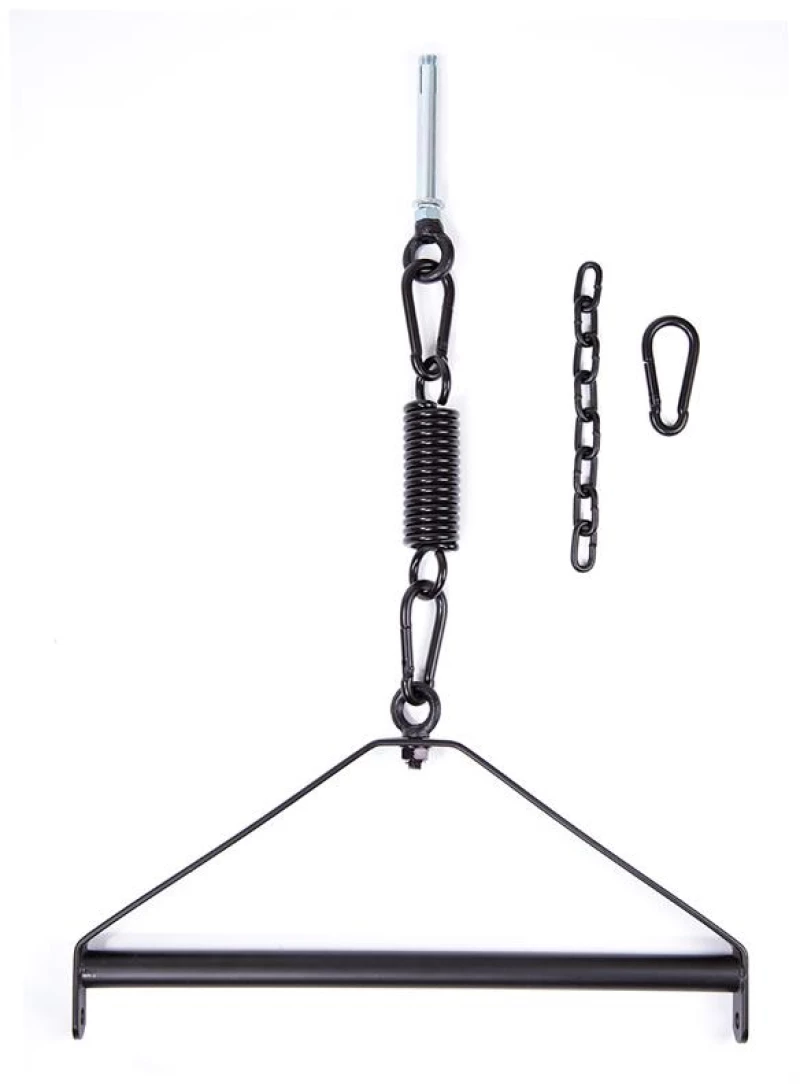 Ceiling Swing
