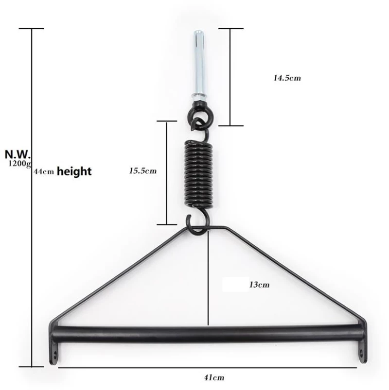 Ceiling Swing