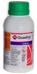Quadris 25 SC 375mL - Προστατευτικό μυκητοκτόνο με μερική διελασματική δράση