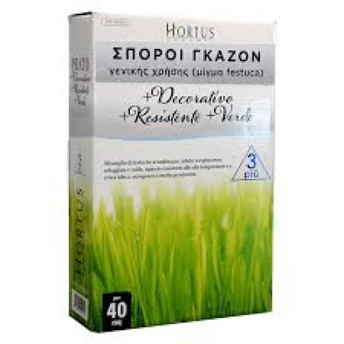 Γκαζόν Festuca Arudinacea (κλασσικό) 500g