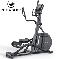 Ελλειπτικό Επαγγελματικό Pegasus E17