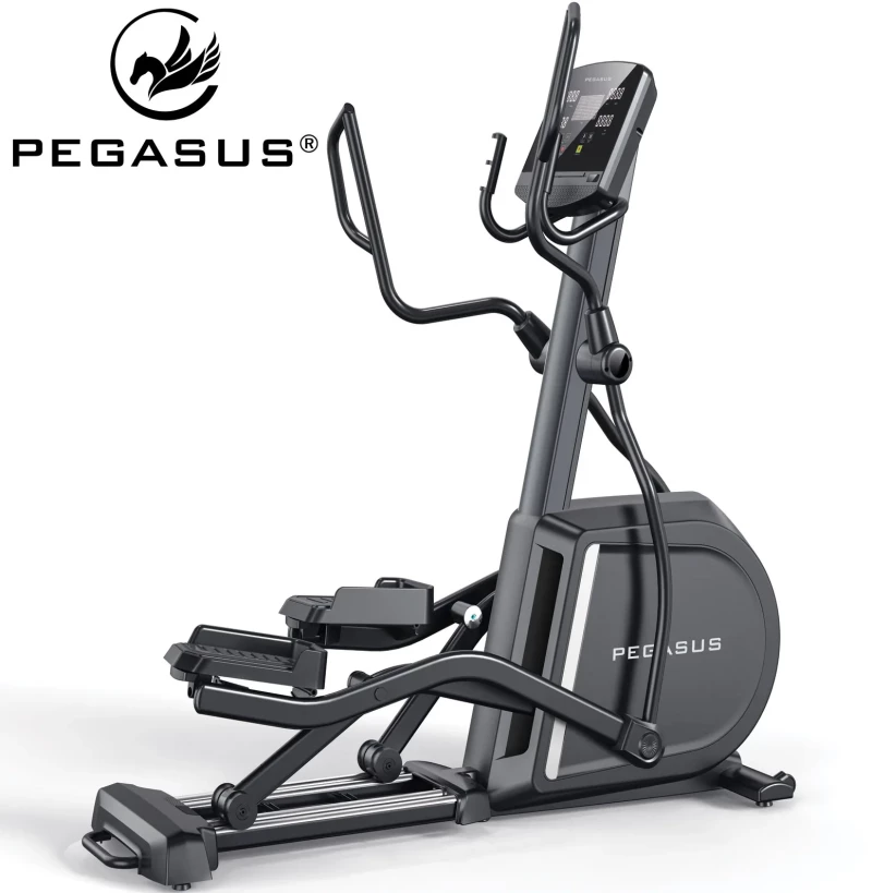 Ελλειπτικό Επαγγελματικό Pegasus E17