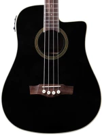 Eko Guitars NXTB100CE See Through