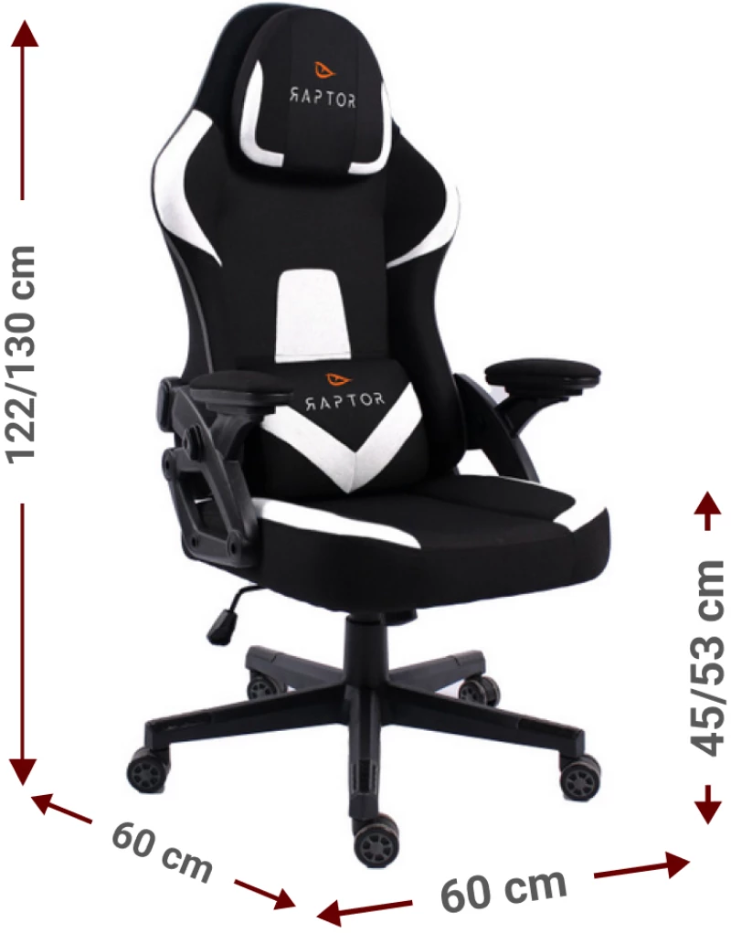 Καρέκλα Gaming Raptor Fury-Leuko