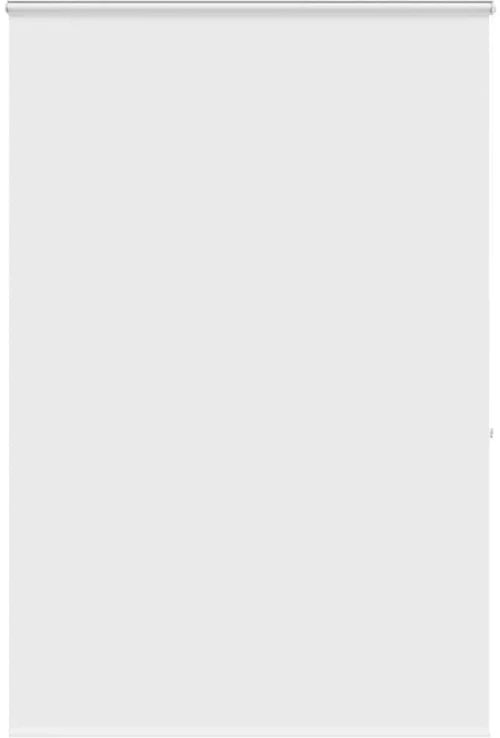 vidaXL Κουρτίνα Μπάνιου Ρολό κασέτα 150x240εκ. Πλάτος υφάσματος 146εκ.