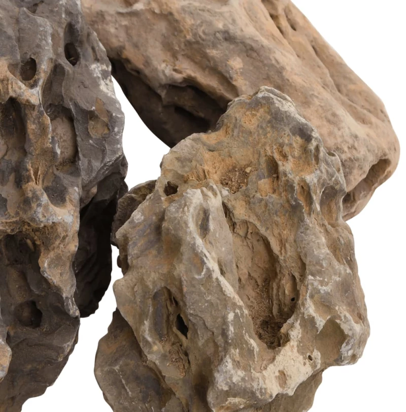 vidaXL Πέτρες Dragon Stones Γκρι 10 κιλά 10-40 εκ.