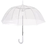 Rain A-12063, Ομπρέλα αυτόματη, Διάφανη