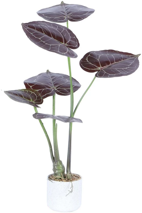 Τεχνητό Φυτό Ανθούριο 0801-6 70cm Red Supergreens Πλαστικό