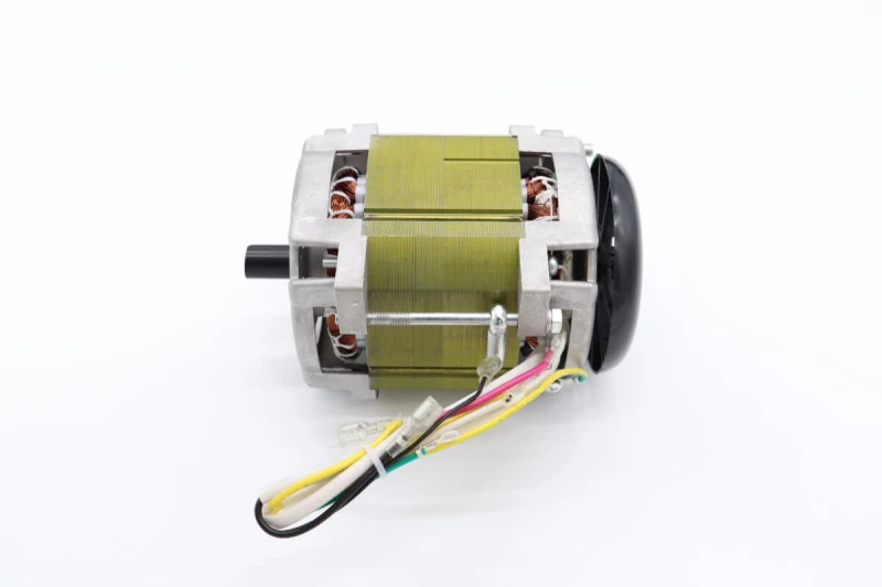 MS300 - Motor #58