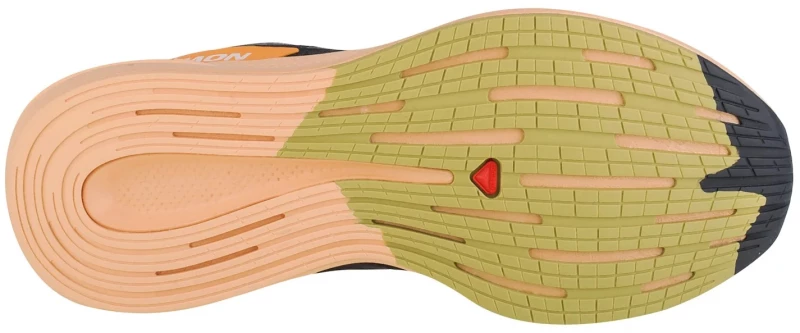 Salomon Spectur W 415893