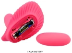 Pretty Love Fancy Clamshell