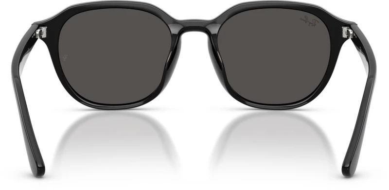 RAY BAN RB 4459D 901/87