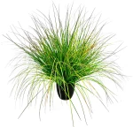 BENT GRASS ΦΥΤΟ ΤΕΧΝΗΤΟ ΣΕ ΓΛΑΣΤΡΑ 90 PVC ΠΡΑΣΙΝΟINTHEBOX