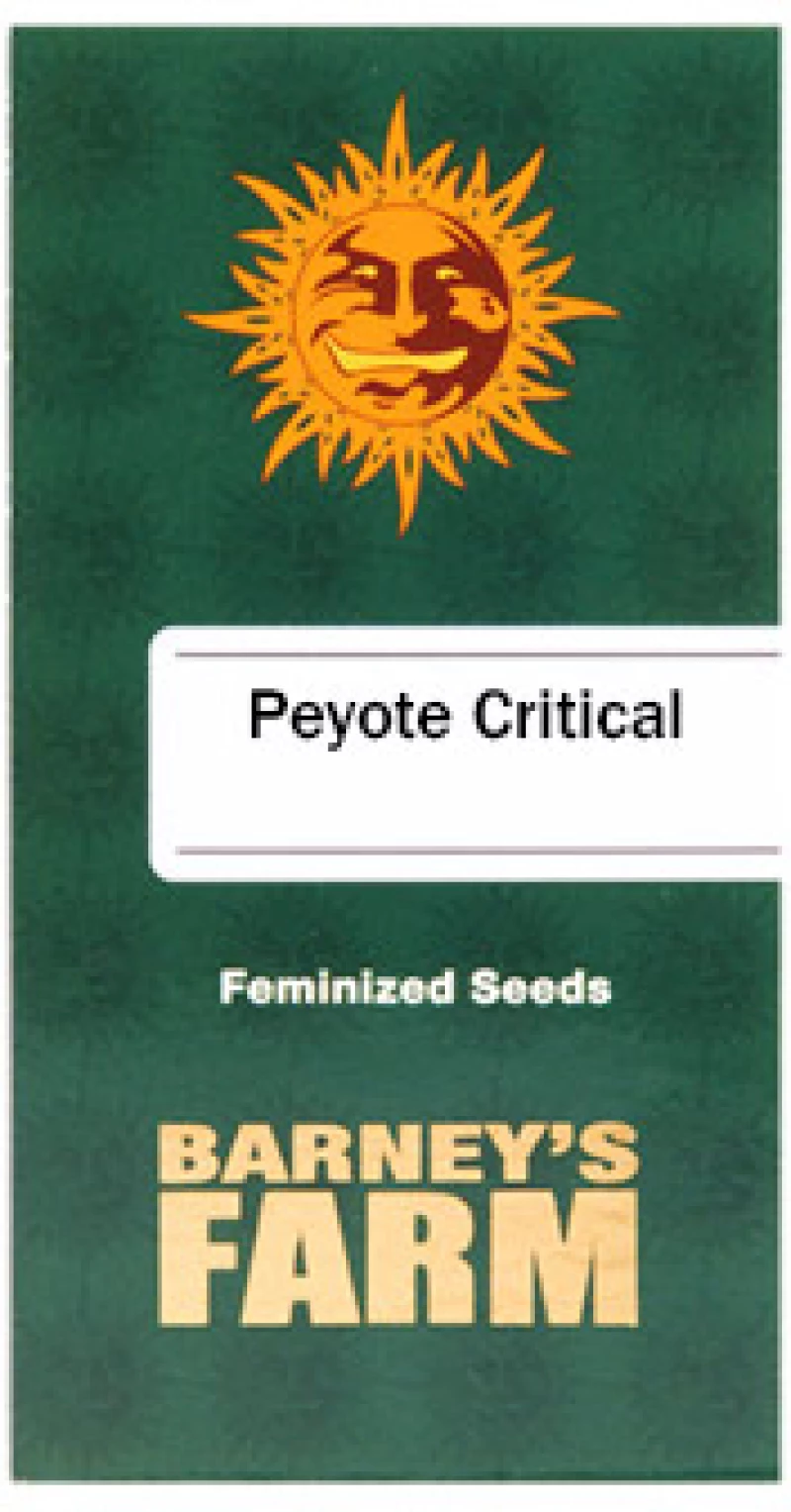 Barneys Farm Peyote Critical