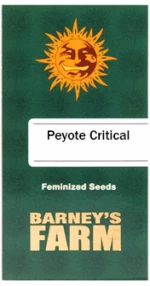 Barneys Farm Peyote Critical