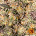 Barneys Farm Runtz Muffin