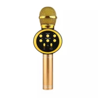 Ασύρματο Μικρόφωνο Bluetooth με ενσωματωμένο ηχείο Χρυσό V11