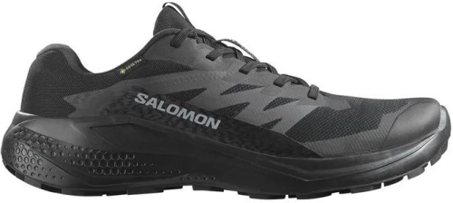 SALOMON ALPHAGLIDE GTX (L47802100)