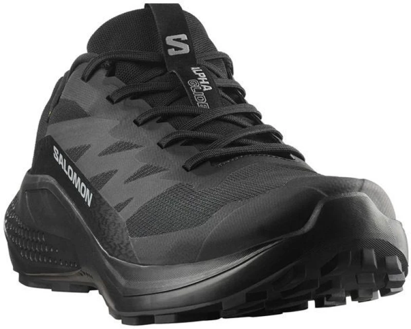 SALOMON ALPHAGLIDE GTX (L47802100)