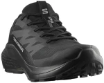 SALOMON ALPHAGLIDE GTX (L47802100)