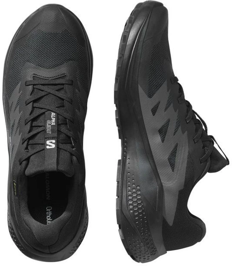 SALOMON ALPHAGLIDE GTX (L47802100)