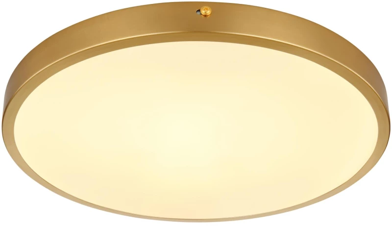 ceiling light metal brass-coloured matt, LED - 12381-22