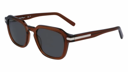 Ανδρικά Γυαλιά Ηλίου Salvatore Ferragamo SF1089S-5221278 Ø 52 mm