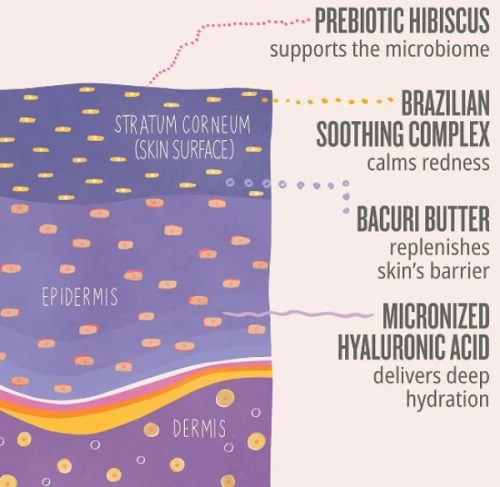 Sol de Janeiro Delícia Drench Body Butter 75ml